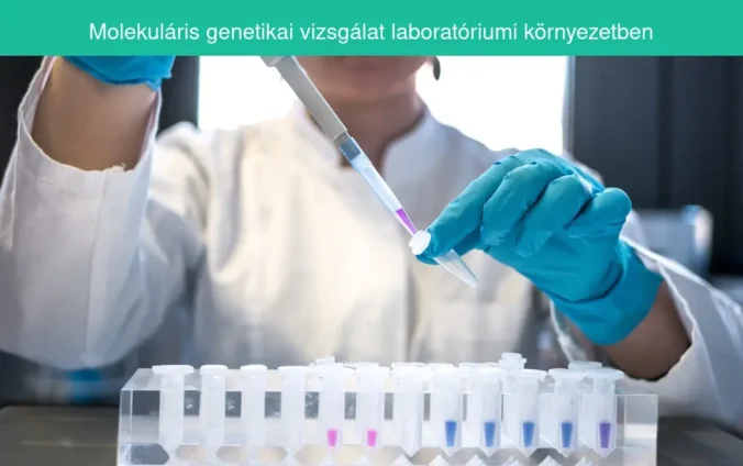 Molekuláris genetikai vizsgálat laboratóriumi környezetben